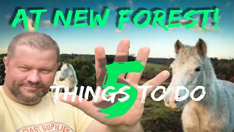 5 Things You can do at New Forest