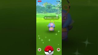 Shiny Compilation