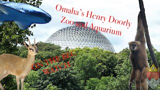BEC Watch Entries: #2 Omaha's Henry Doorly Zoo and Aquarium