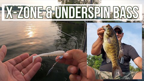 [SHORT] Kawartha Bass | X-Zone Swammers & walking the dog | Remote island camping trip Summer 2021