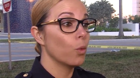 Sweetwater Police Sgt. Jenna Mendez among first people to help FIU bridge collapse victims