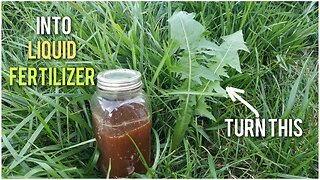 FREE Fermented Plant Fertilizer