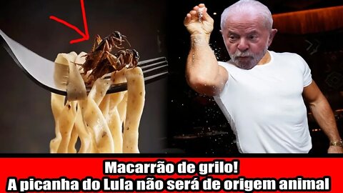 MACARRÃO DE GRILO!!! A PICANHA DO LULA NÃO SERÁ DE ORIGEM ANIMAL!!!