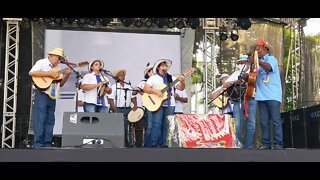 FOLIA DE REIS LUZ DIVINA - REVIRADA REGIONAL DE CULTURA 2022 - ARTUR NOGUEIRA