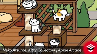 Neko Atsume: Kitty Collector+ | Apple Arcade