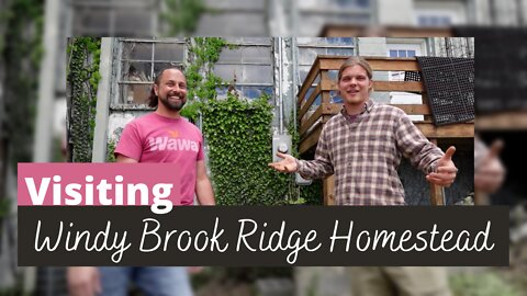 Visiting Windy Brook Ridge | HOW TO MAKE MONEY GROWING FLOWERS