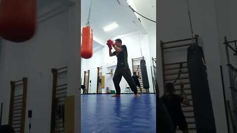 Punch and Elbow The Bag (9)