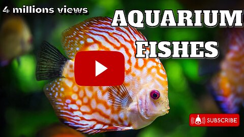 Aquarium fish 4K VIDEO | Beautiful Fish | Sleep Relaxing Music | Bedtime Stories for Kids