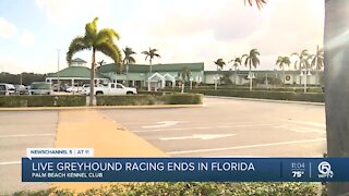 Palm Beach Kennel Club ends dog races