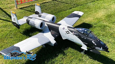Freewing A-10 Thunderbolt II "Warthog" Twin 80mm EDF Jet