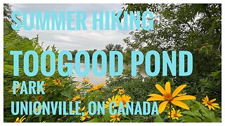 Trails, Marshes, Berries & Wildflowers| Toogood Pond Park | Unionville, ON | Hiking | Relive