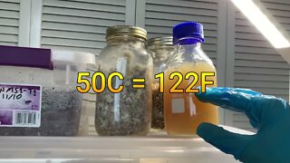 How to Re-Liquidify Agar 🧫