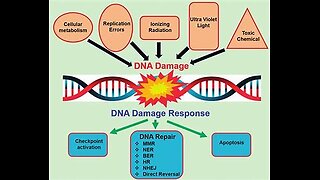 PAYLOAD: Nanocapsules - Part Two