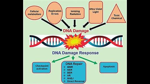 PAYLOAD: Nanocapsules - Part Two