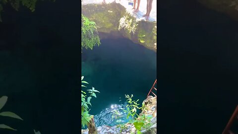Lets Jump Into the Blue Hole #shortsvideo #shortsfeed #jamaica #nature #fy #travel #fypシ #rafting
