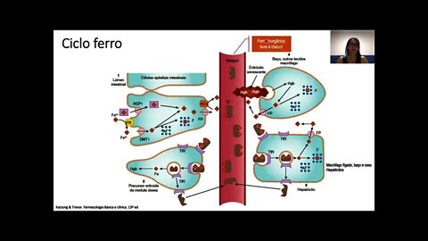 Farmacologia das Anemias - Parte 2