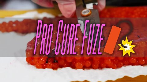 Egg Curing Tips & Tricks | PRO CURE FUZE 💣