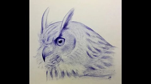 Horned Owl Ballpoint blue pen drawing