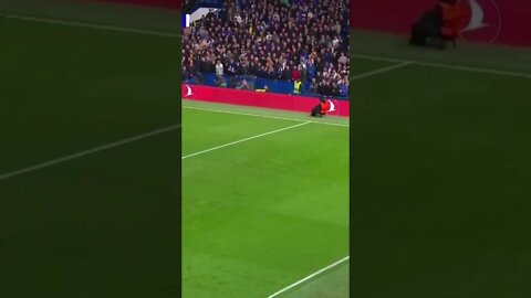 VIDEO/ Aubameyang's goal for Chelsea against Milan