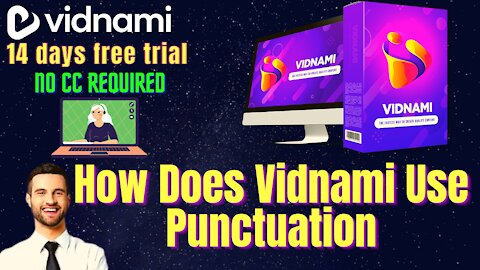 How Does Vidnami Use Punctuation-