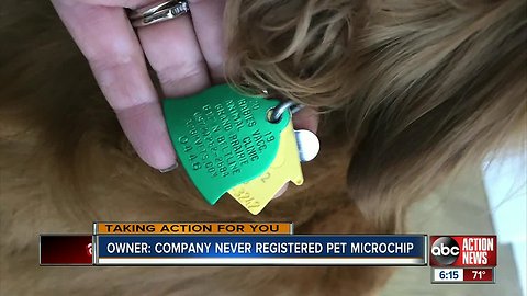 How to make sure your pet's microchip is properly registered in case they get lost