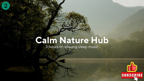 3 Hours Rain and Thunder Healing Ambient Sounds for Deep Sleeping Meditation Relaxation Spa | #2 ⛈️😴