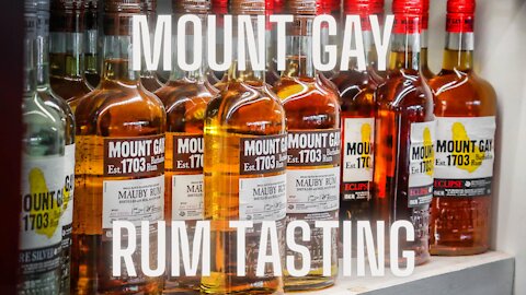 Vlog #11 Mount Gay Rum Tour and rum tasting.
