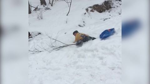 "A Young Boy Crashes Into A Small Tree On A Sled"