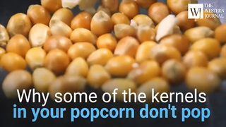 Ever Wonder Why Some of Your Popcorn Kernels Don't Pop? Here's the Scoop. (C)