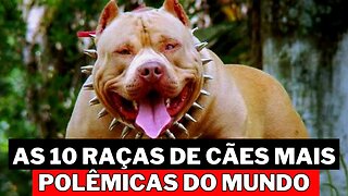 Top 10 das Raças de Cães Consideradas Mais Perigosas no Mundo