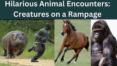 Humorous Animal Pursuits: Creatures Providing Unexpected Thrills"