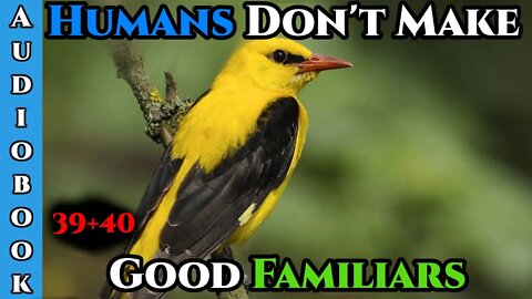 Humans Are CHAOS - Humans Don't make Good Familiars (Ongoing) - Ch.39+40 | HFY | Fantasy |