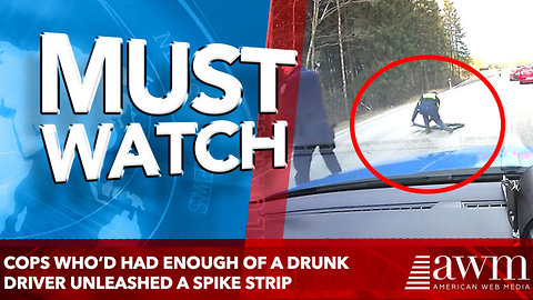 Cops who’d had enough of a drunk driver unleashed a spike strip that stopped him dead in his tracks