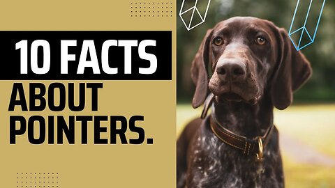 Ten interesting Facts about Pointers.