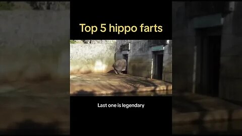 Top 5 hippo farts guys 🫡 rate them ! #hippo #fart #TheFartFiles