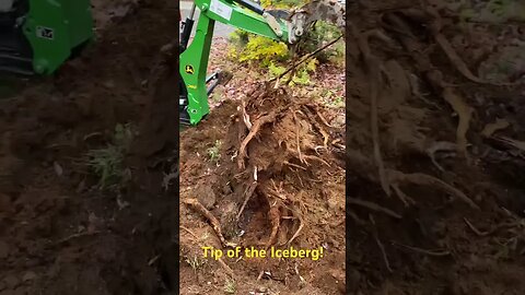 Small Backhoe vs. Big Stump