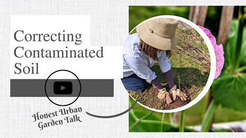 Correcting Contaminated Soil | Honest Urban Garden Talk