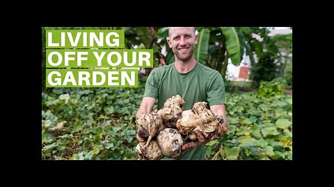 13+ Survival Gardening Crops To Grow To Live Off Your Garden