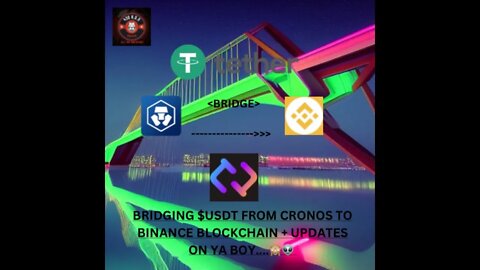 BRIDGING $USDT FROM CRONOS TO BINANCE BLOCKCHAIN + UPDATES ON YA BOY....🙈👽