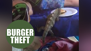 Schoolboy being mugged of his burger - by a hungry iguana