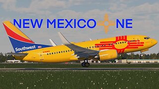 Flying on the NEW MEXICO ONE! (and spotting the freedom one) Southwest Airlines Flight