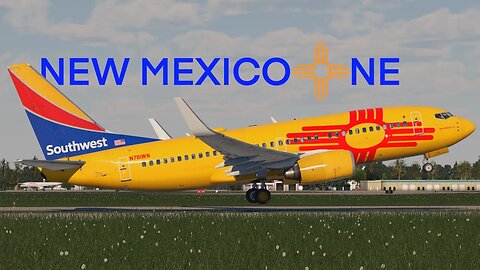 Flying on the NEW MEXICO ONE! (and spotting the freedom one) Southwest Airlines Flight