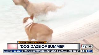 Dog Daze of Summer event to cool off with your pets