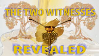 The Two Witnesses Revealed