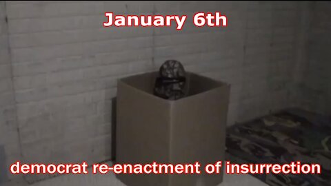 January 6th Insurrection