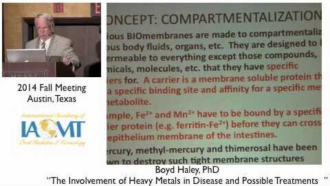 Boyd Haley, PhD, MIAOMT