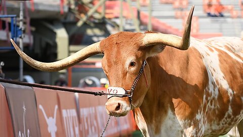 Daily Delivery | Ya gotta love that Texas' game with SEC power may kick at 11 a.m.