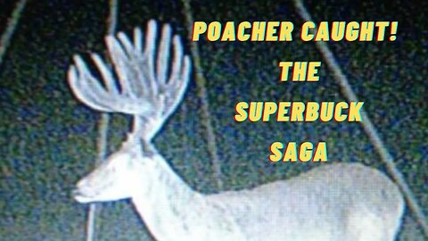 POACHER CAUGHT! - The Superbuck Saga