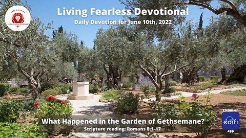 What Happened in the Garden of Gethsemane?