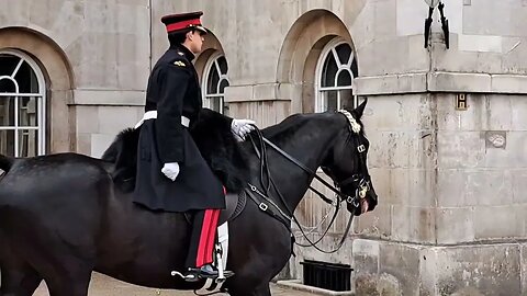 Armed police See in the corporal #horseguardsparade